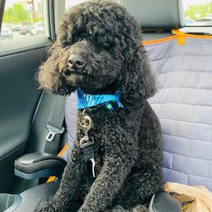 Meet your Posher, Trisha